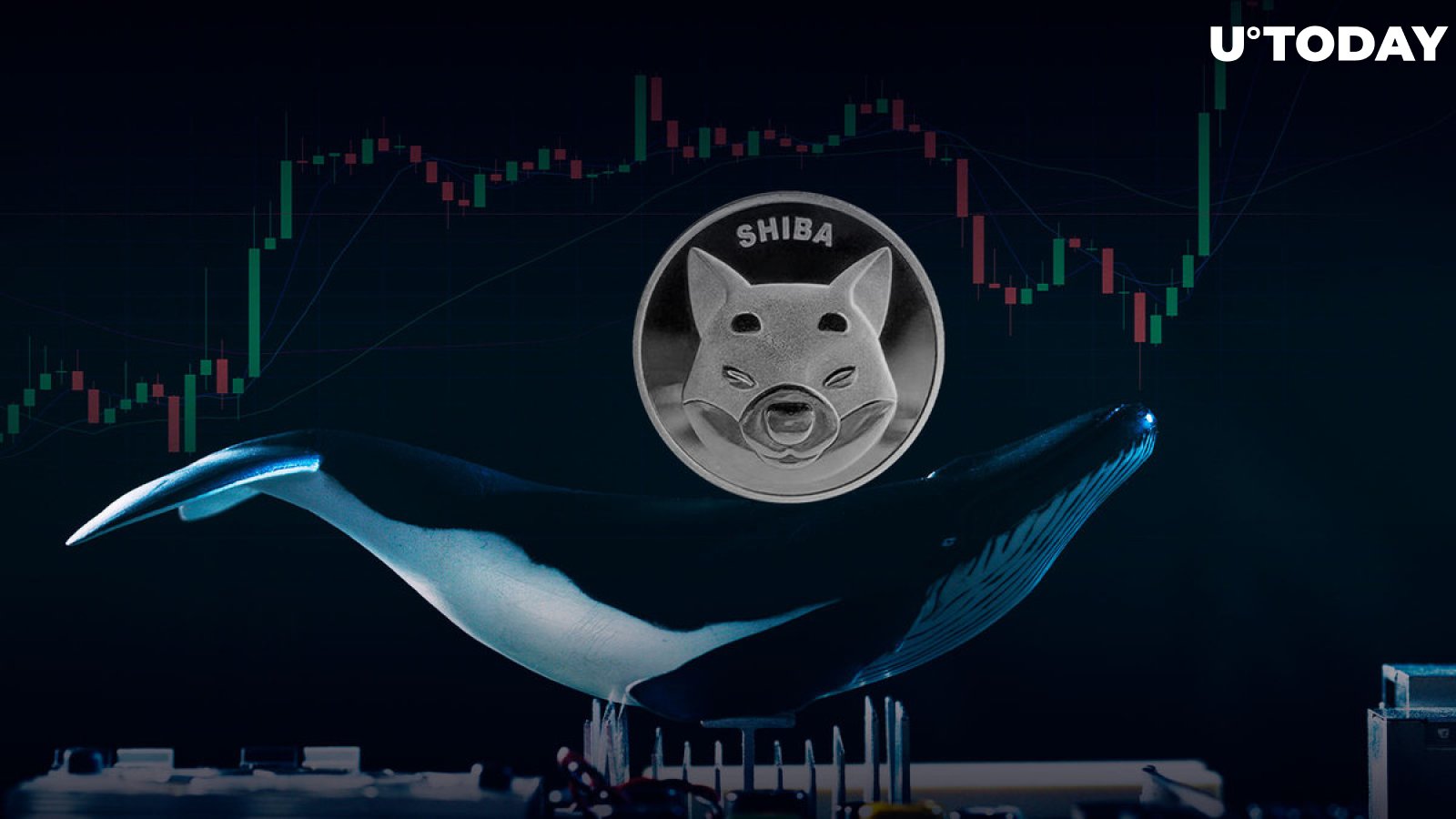 Shiba Inu Whales' Trading Volume Spikes 639% as Price Holds Key Support