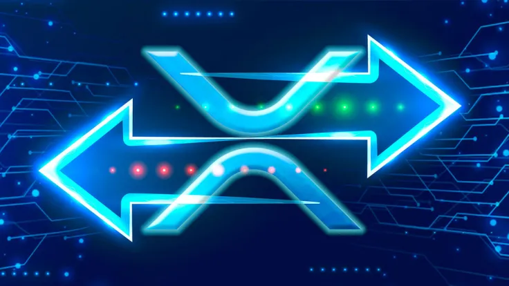 Enormous 40 Million XRP Shoveled to Centralized Exchange, Here's Why