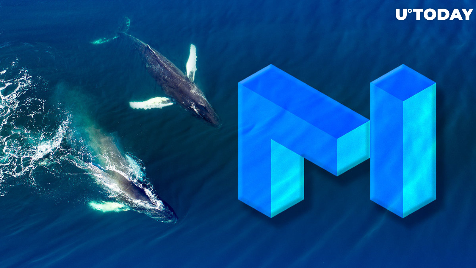 $2.5 Million in Top-Traded MATIC Token Acquired by These Two Whales