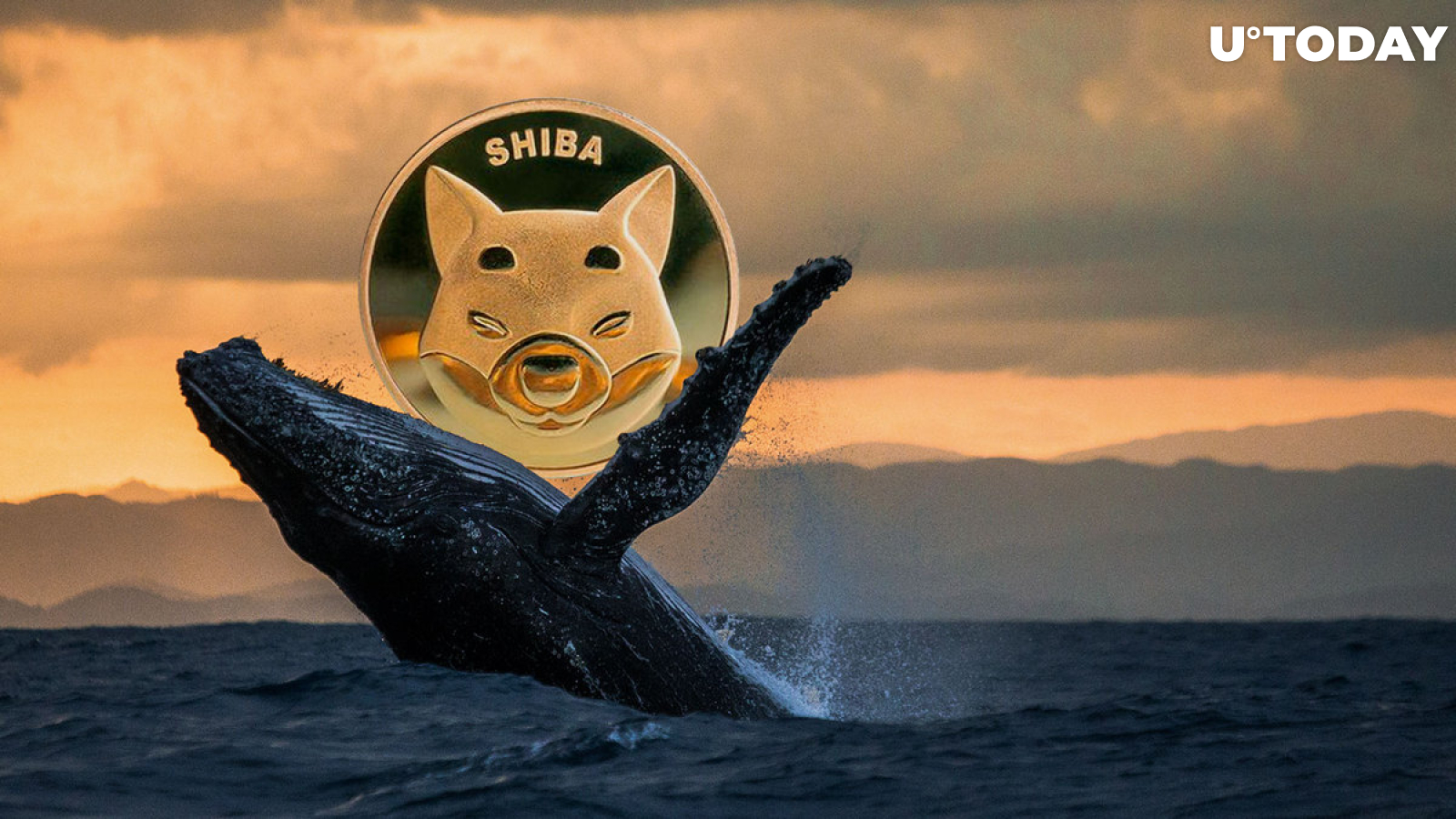SHIB Beats MATIC, LINK, MANA as Number 1 Asset for Whales: Report