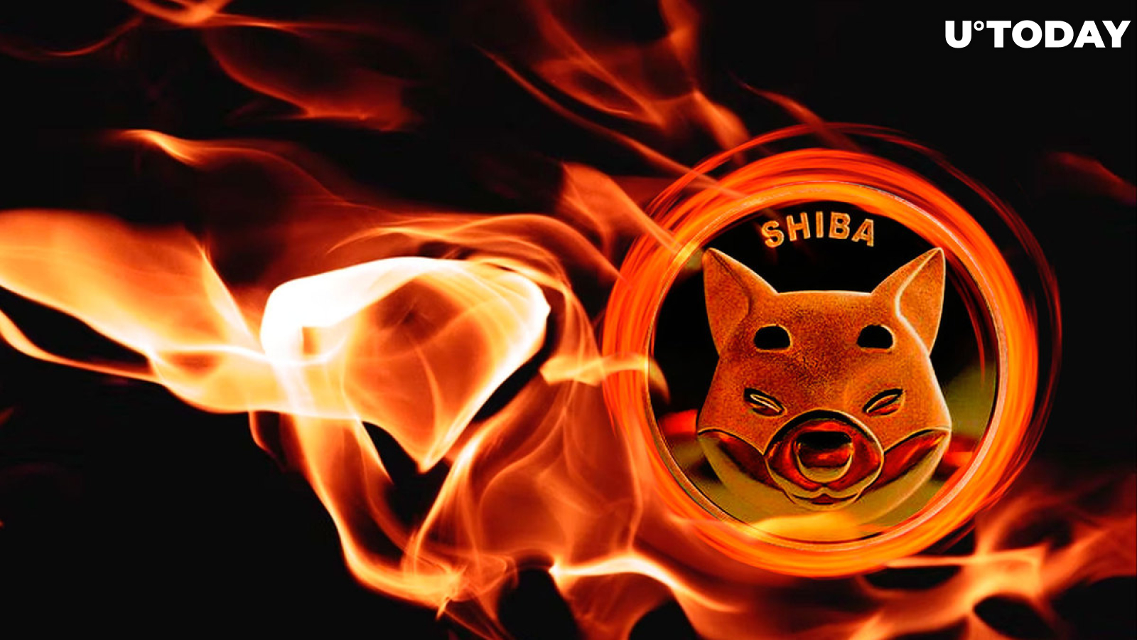 225 Million SHIB Burned As Burn Rate Soars 414% Overnight