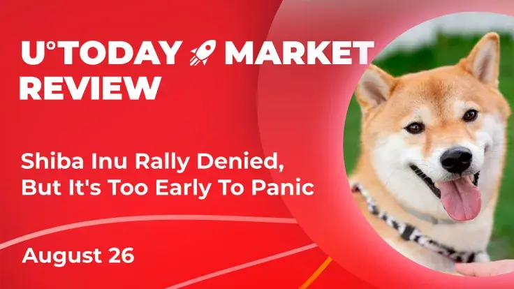 Shiba Inu Rally Denied, But It's Too Early to Panic: Crypto Market Review, August 26