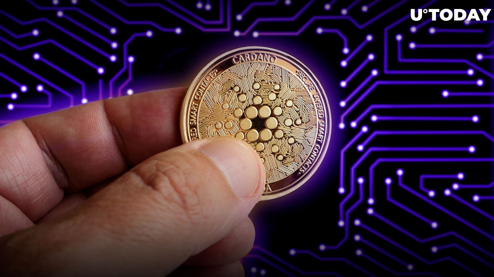 Here's Why Cardano's Decentralization Networking Update Is Most Important Part of Vasil