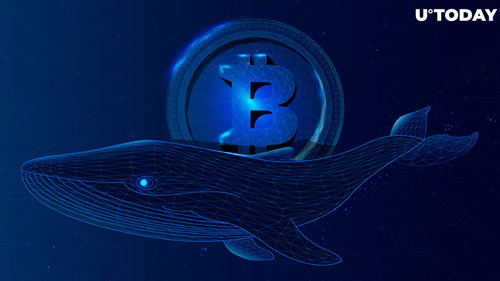 Ancient Bitcoin Whales Are Awakening, What's Happening?