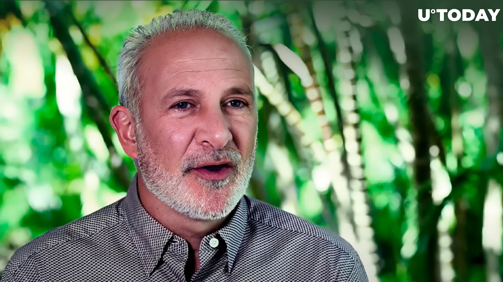 Peter Schiff Believes Bitcoin Likely to Keep Falling for This Particular Reason