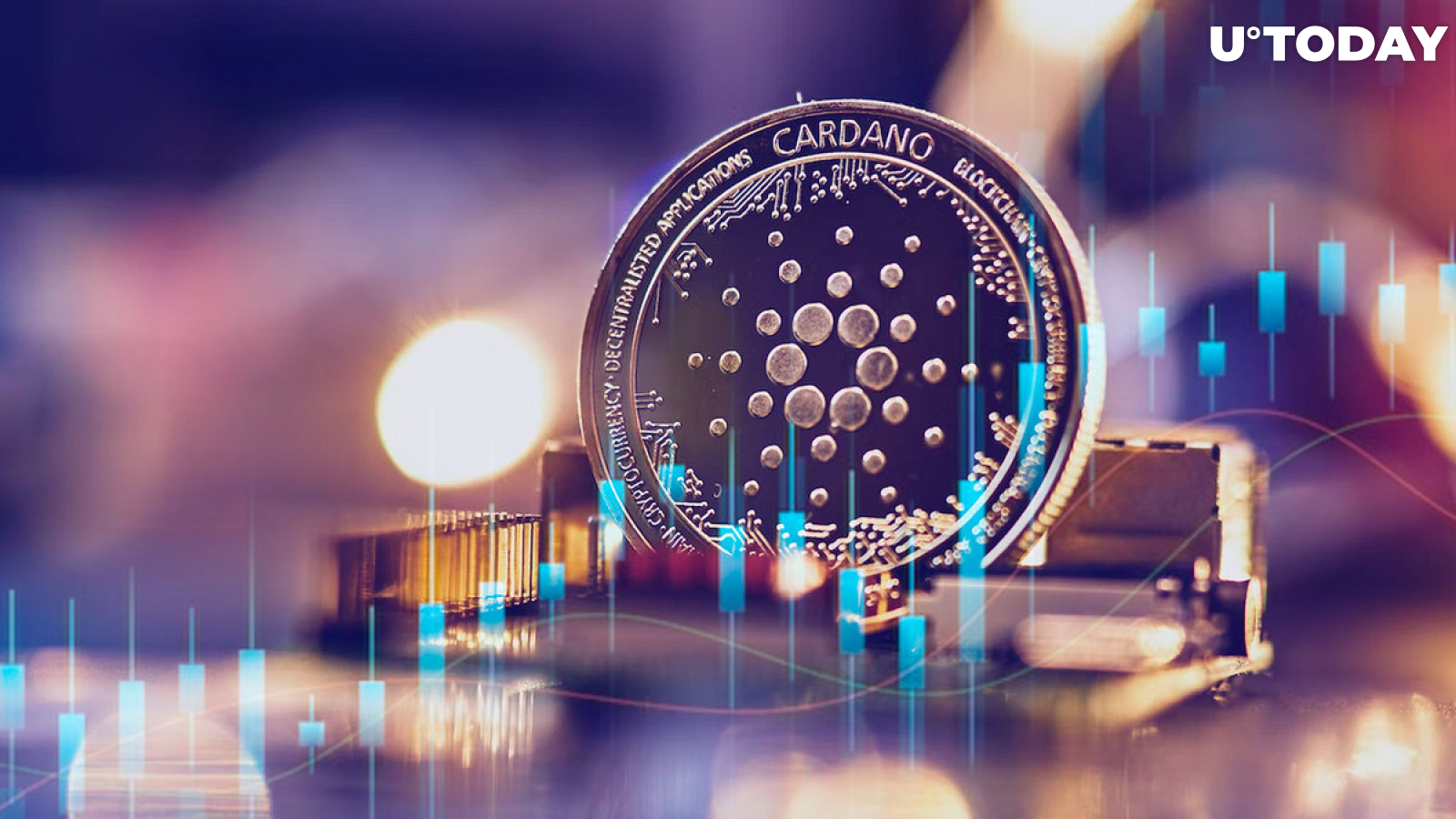 Here's Who Is Buying Cardano, Dogecoin Drawdown as Market Declines Continue