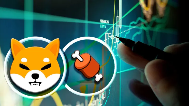 Shiba Inu's BONE Trading Volumes Surge 447%: Details