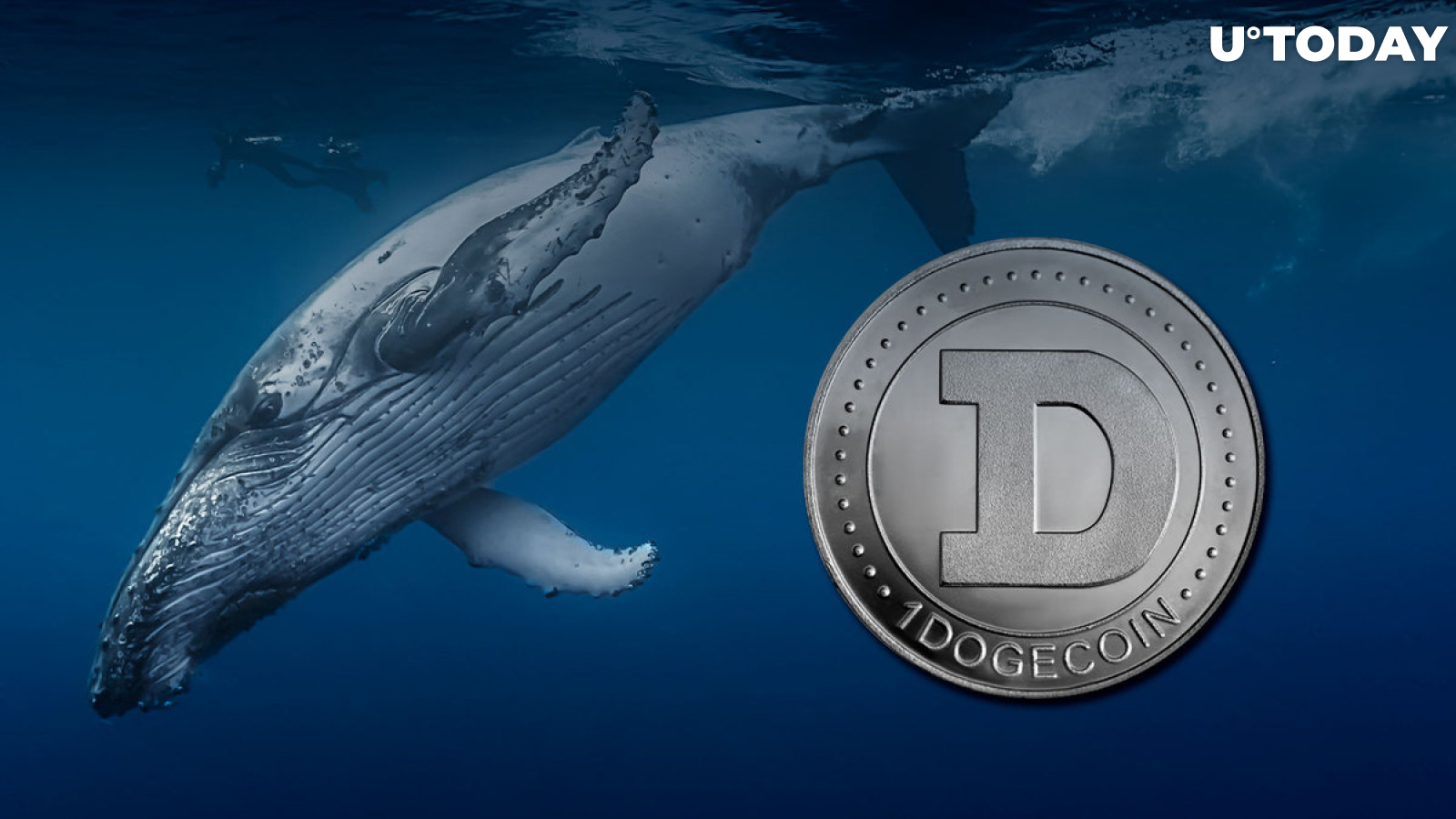 Dogecoin Team Clears up Rumor About Whale Who Holds Almost 30% of All DOGE Supply