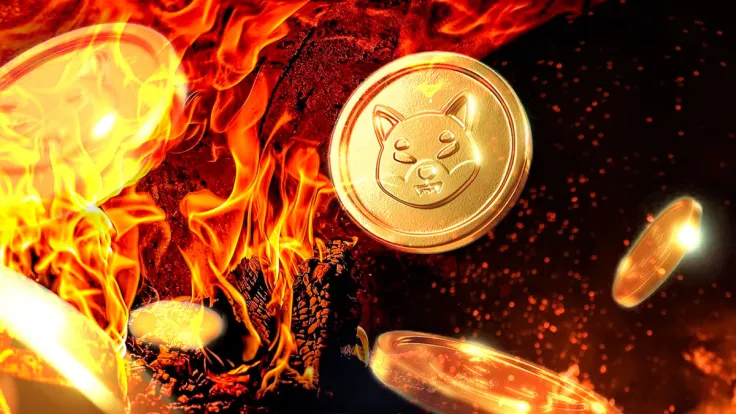 Over 5.3 Billion SHIB Burned via This Platform Since July; Here Is Impact on Price