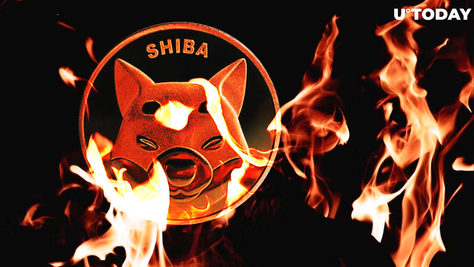 Shiba Inu Burn Rate Spikes 250% After Massive 312 Billion SHIB Whale Purchase