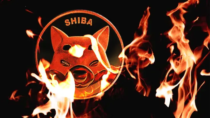 Shiba Inu Burn Rate Spikes 250% After Massive 312 Billion SHIB Whale Purchase