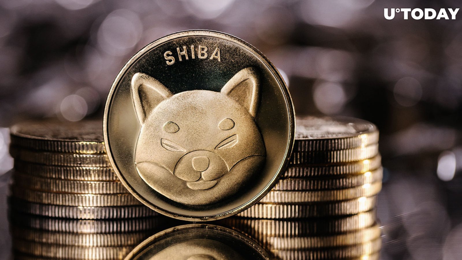 Shiba Inu: Mysterious "Buying" Activity Spotted, Here's What Happened