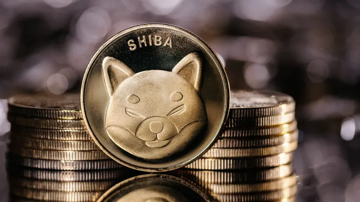 Shiba Inu: Mysterious "Buying" Activity Spotted, Here's What Happened