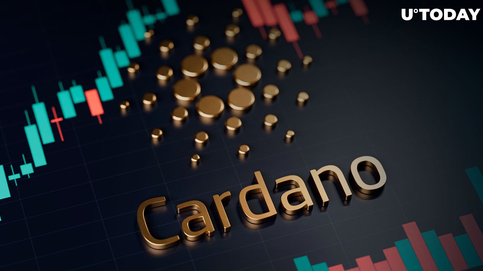 Cardano Developer Community Reaches New Growth Levels: Details