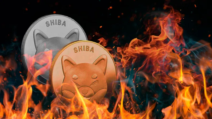 This Platform Burns 4.7 Billion SHIB, Planning to Surpass July Burns in August: Details
