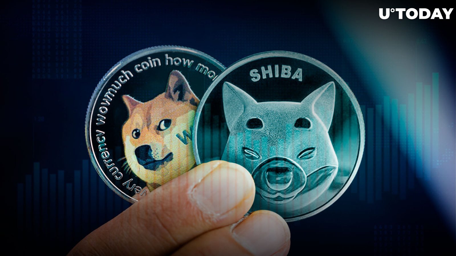 Shiba Inu, Dogecoin Post Gains as Meme Cryptocurrencies' Trading Volumes Spike 151%