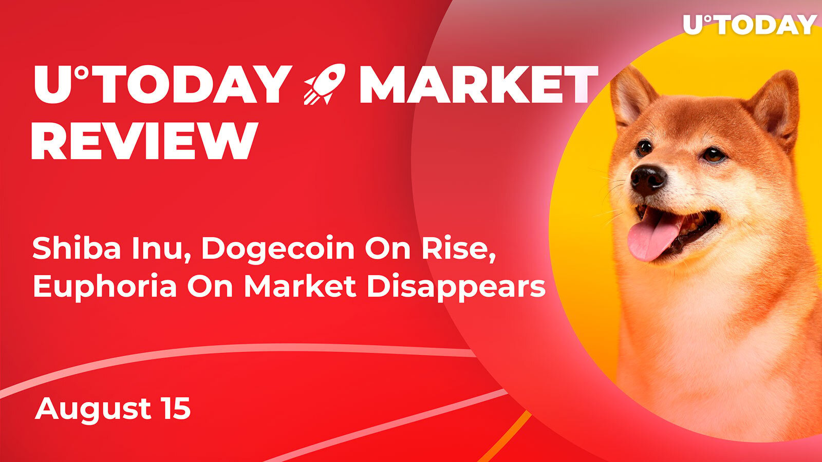 Shiba Inu, Dogecoin On Rise While Euphoria On Market Disappears: Crypto Market Review, August 15