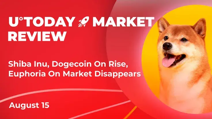 Shiba Inu, Dogecoin On Rise While Euphoria On Market Disappears: Crypto Market Review, August 15