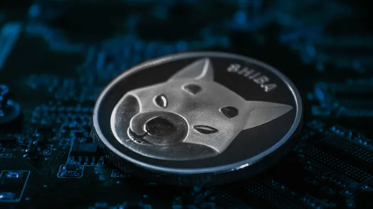 Shiba Inu: This Metric Displays Confidence Among SHIB Holders