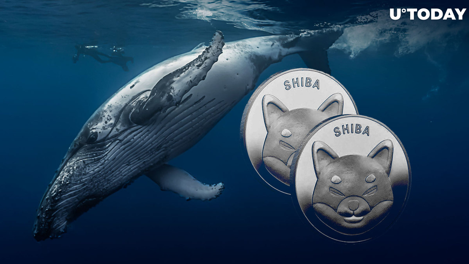 $193 Million in SHIB End up in Whales' Wallets as They Increase Holdings