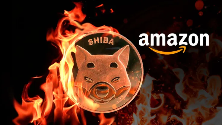 15 Million SHIB Burned via Amazon in August: Details