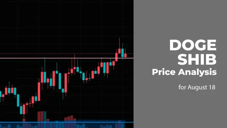 DOGE and SHIB Price Analysis for August 18