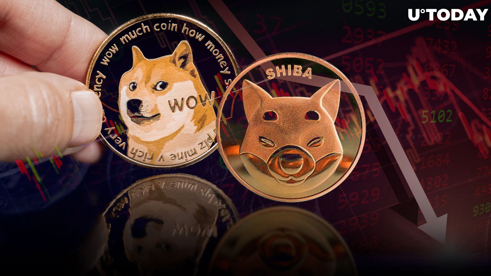 This Group of Shiba Inu and Doge Investors Caused 23% Plunge