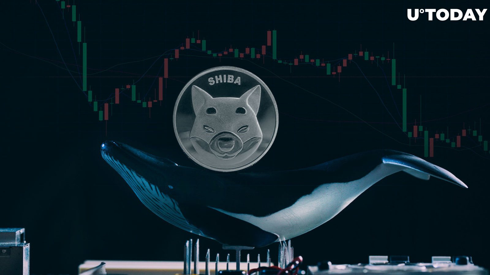 Whales Drop $33 Million in SHIB Overnight as Price Down 13%