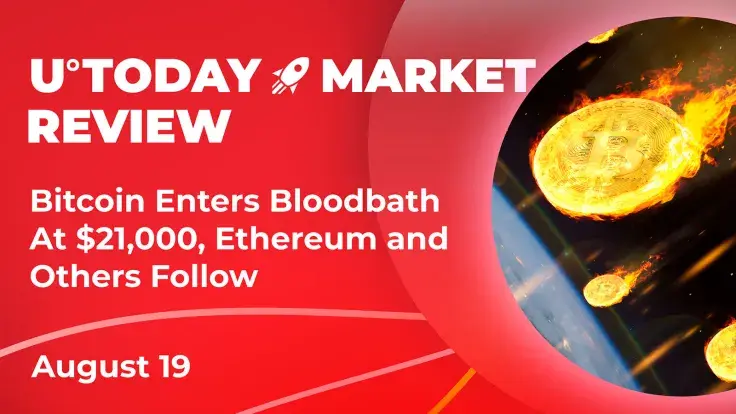Bitcoin Enters Bloodbath at $21,000, Ethereum and Others Follow: Crypto Market Review, August 19