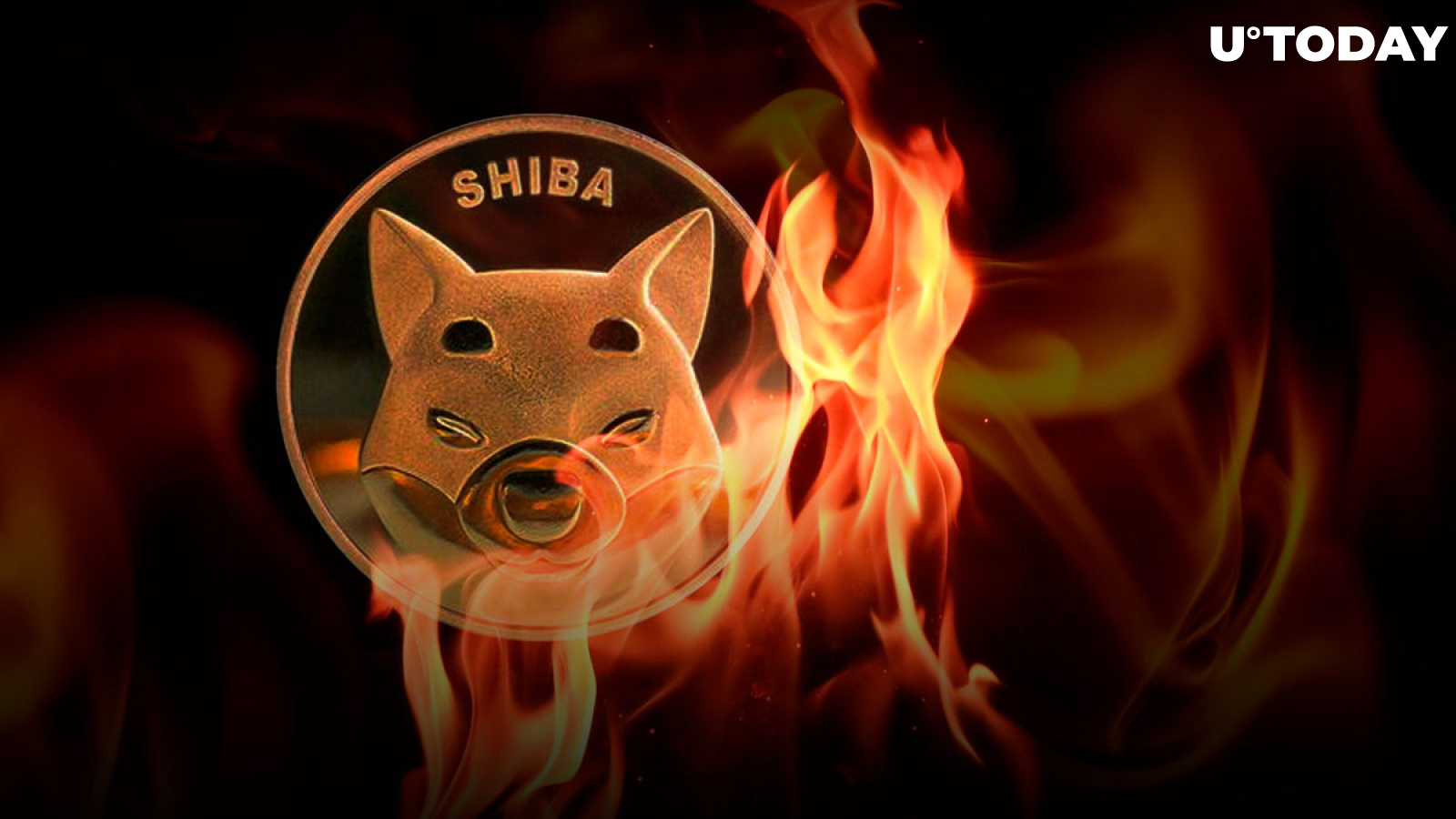 More Than Half Billion SHIB Burned in Past Week as Shiba Inu Returns to Whales' Radar