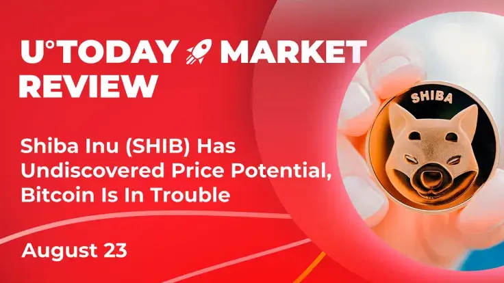 Shiba Inu (SHIB) Has Undiscovered Price Potential: Crypto Market Review, August 23
