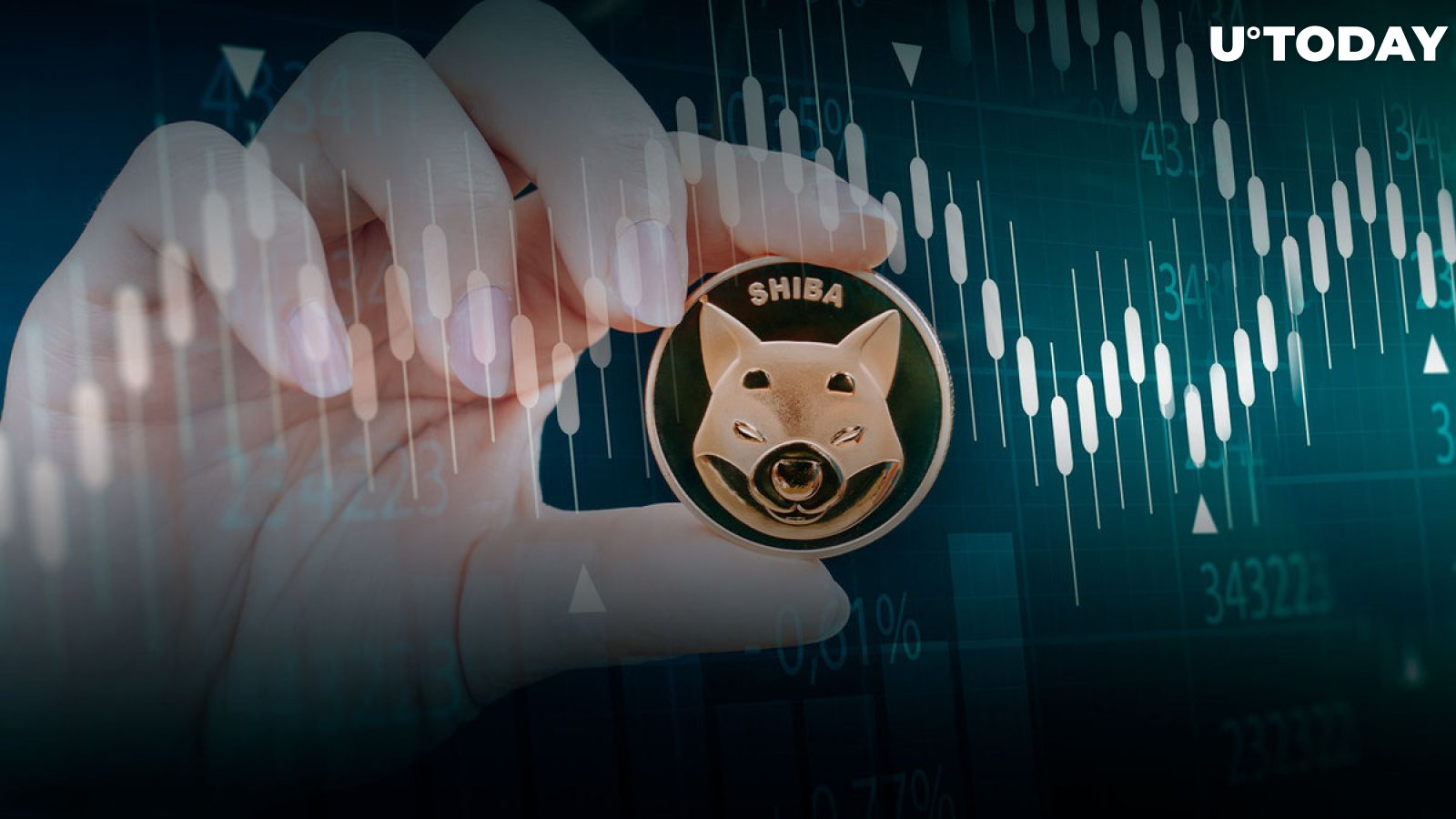 Shiba Inu Large Holders Might Be Timing Market as Transactions Suddenly Spike 84%