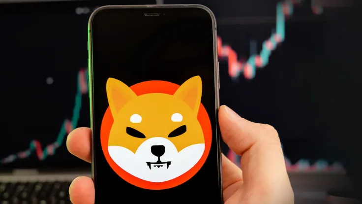Shiba Inu: This Metric Might Indicate That SHIB Price Is Preparing for "Distinct" Move