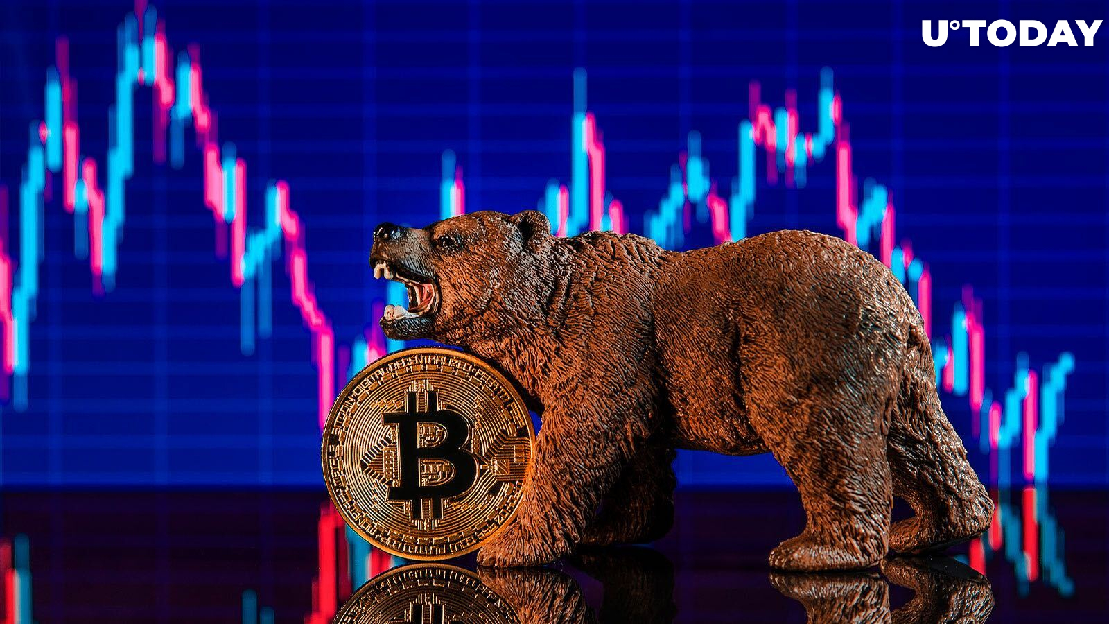 Here Is When Bitcoin Bottom Will Occur, According to Previous Bearish Cycles