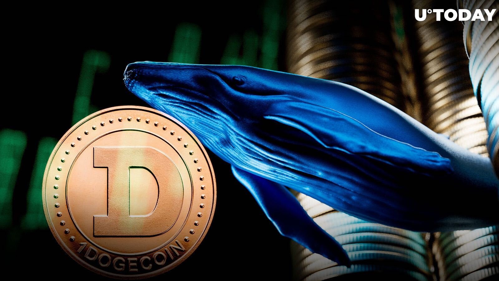 Dogecoin Catches Whales' Interest, DOGE Is in Top 10 by Trading Volume