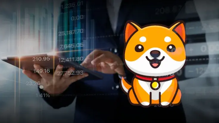 BabyDoge Forms Odd Reversal Pattern, Could Be Aiming at 50% Reversal