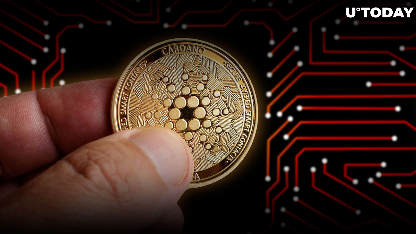 Cardano Sets New Milestone in Native Tokens Issued Following On-chain Growth in August