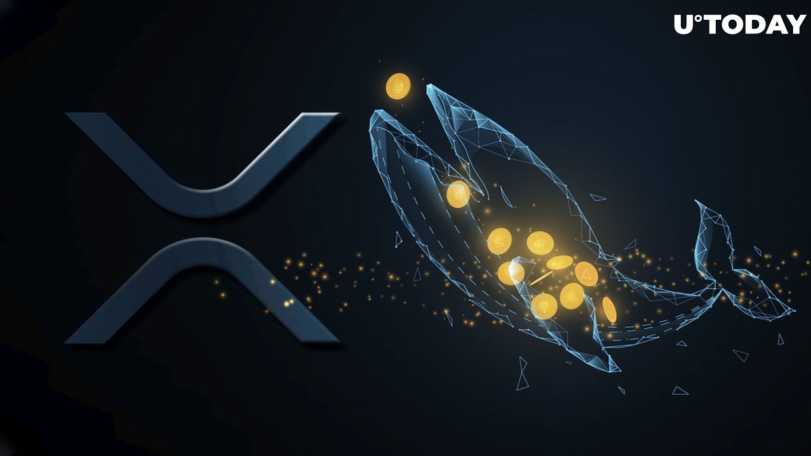 Whales Shift 550 Million XRP as They Might Be Selling
