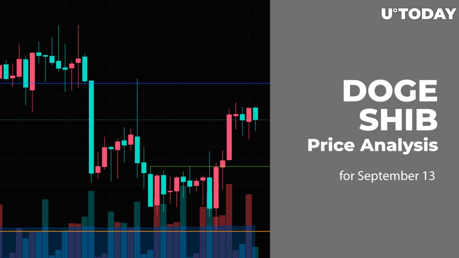 DOGE and SHIB Price Analysis for September 13