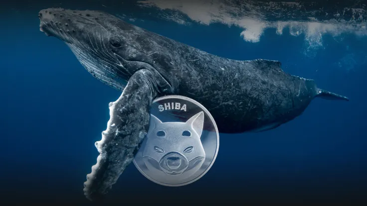 Whales Grab 1.6 Trillion SHIB, Here’s What Made Them Do It