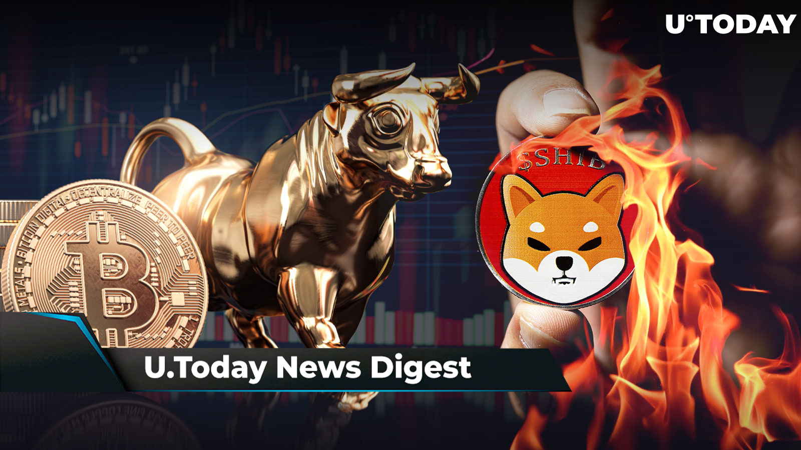 BONE Price Spikes 20%, SHIB Burn Rate up 889%, BTC Experiences “Most Bullish Thing” Ever: Crypto News Digest by U.Today