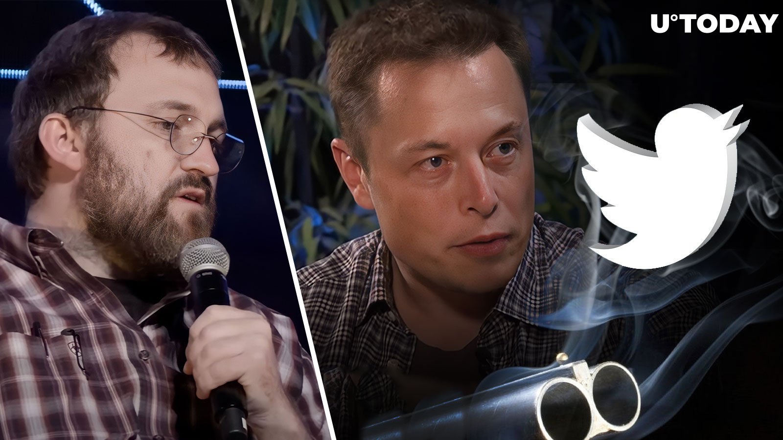 Cardano's Charles Hoskinson on Elon Musk's Twitter Deal: "Shotgun Wedding" Coming