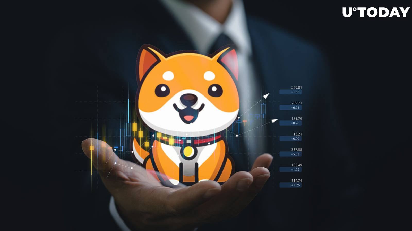 BabyDoge Holder Number Again Surpasses SHIB's After Reaching New All-Time High