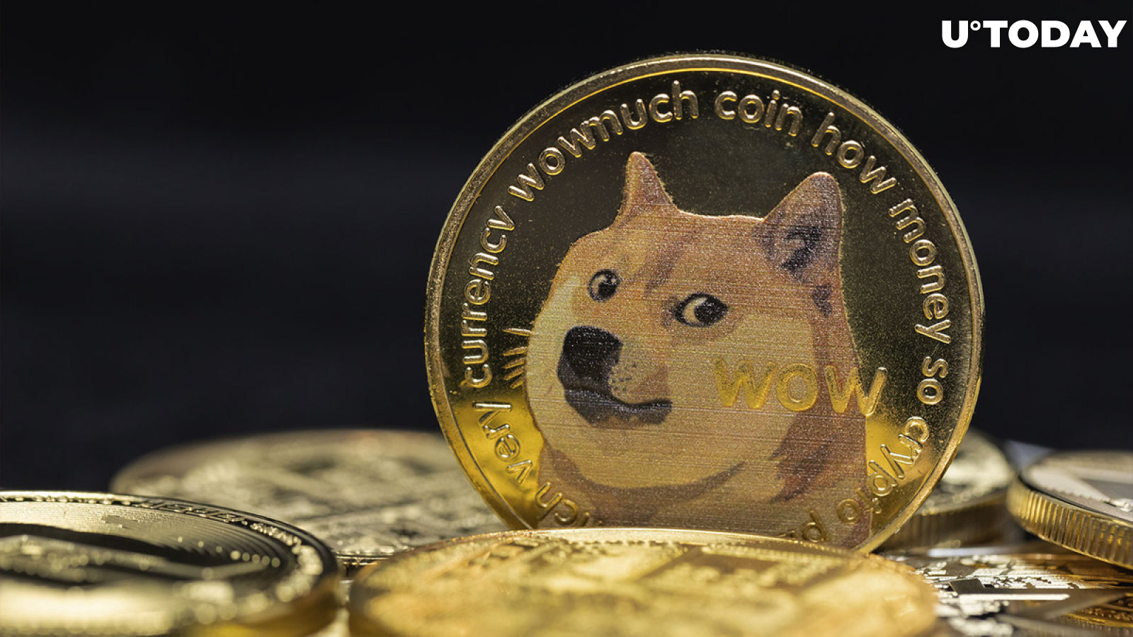 This Dogecoin Dev Has Message to All Brands Out There