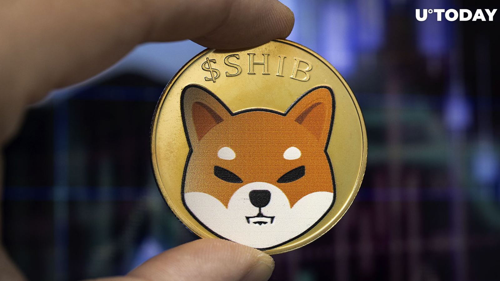 Whopping 1.1 Trillion SHIB Sold by Whales as They Rush to Get Rid of Shiba, Here’s Why