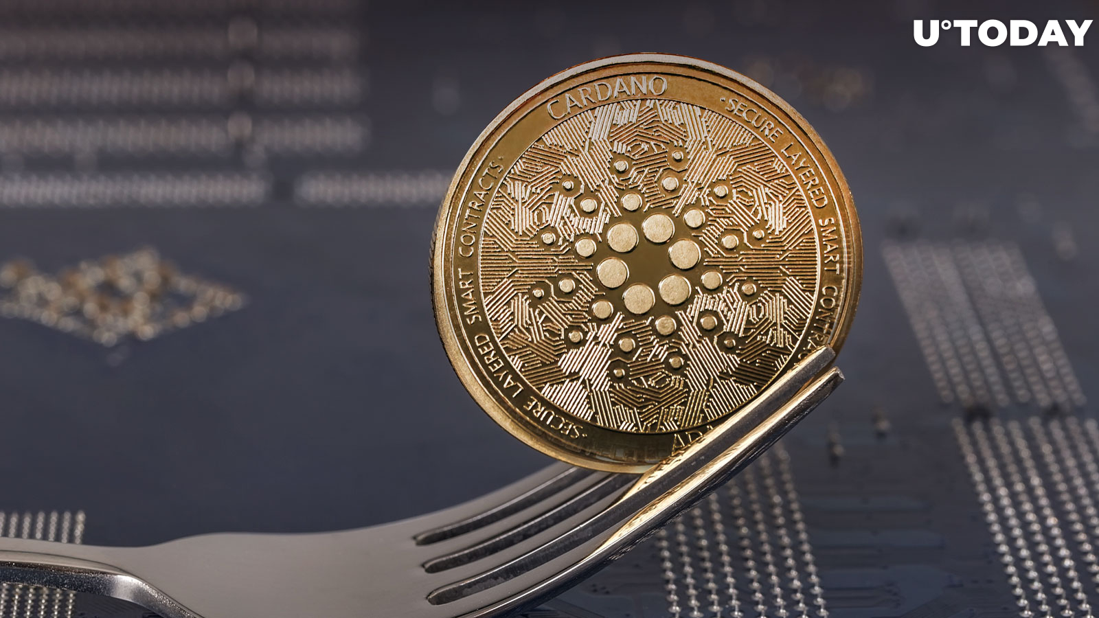 Cardano’s Vasil Hard Fork Enters Final Stage