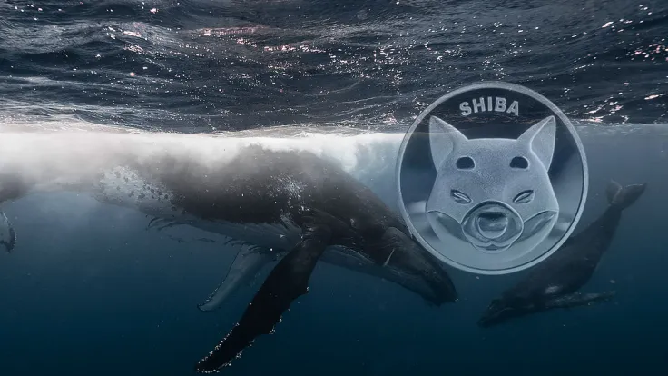 Whales Dump Record 1.2 Trillion SHIB, Here's How They Wanted to Benefit Here
