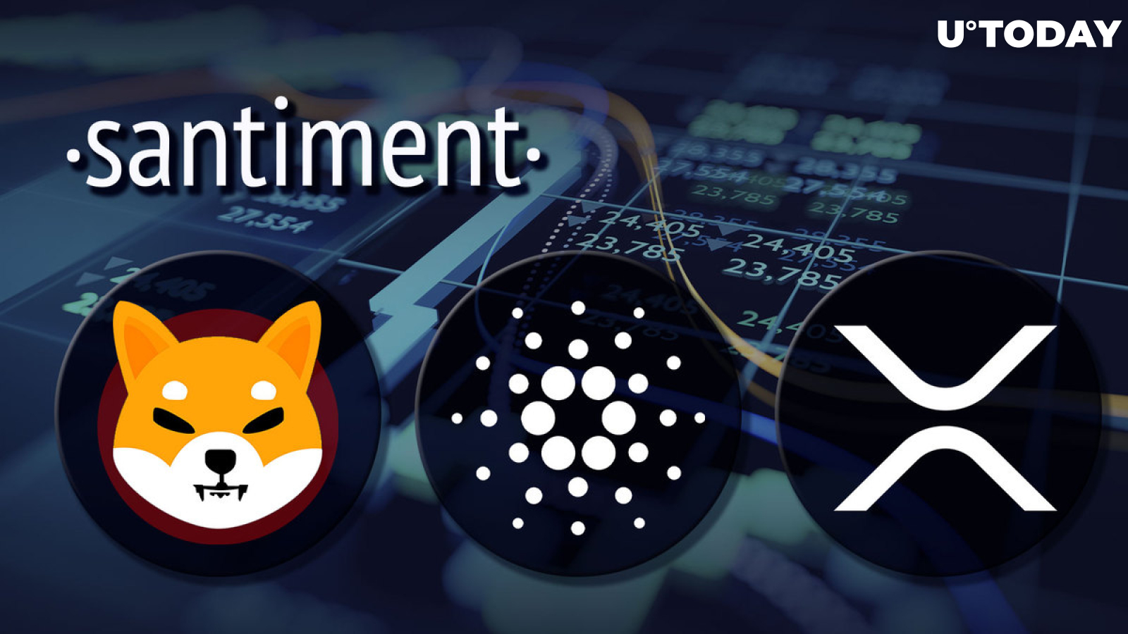 SHIB, XRP, ADA Face High Interest in Crypto Community: Santiment