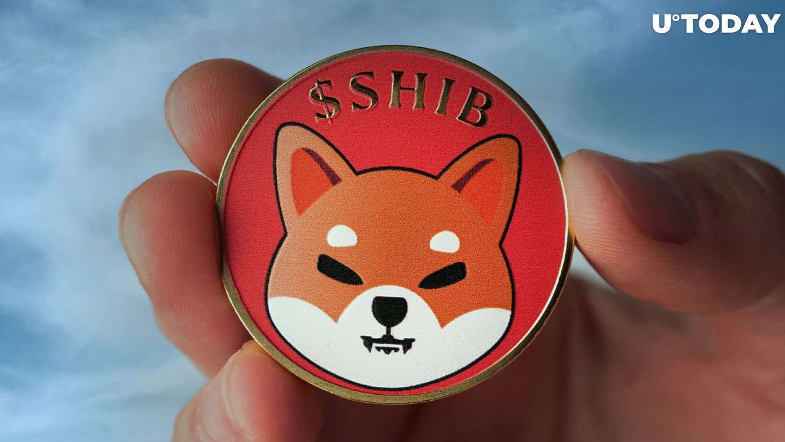 30% of Shiba Inu Holders Are Now Holding for Long-Term Reasons: Report