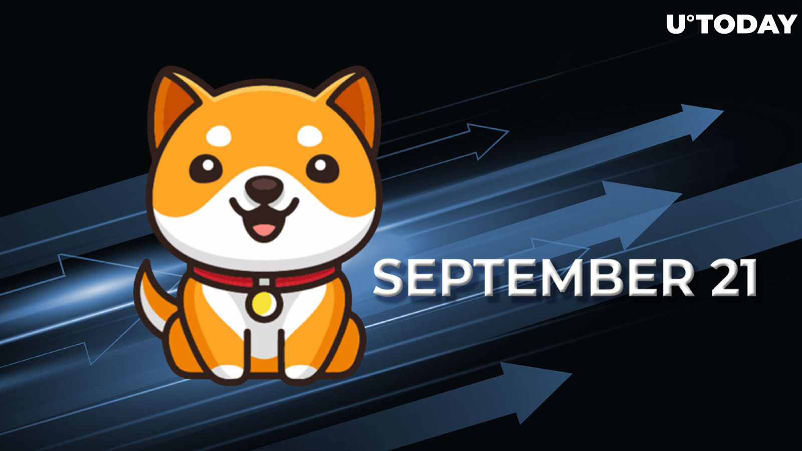 BabyDoge Team to Name Mainnet Launch on September 21